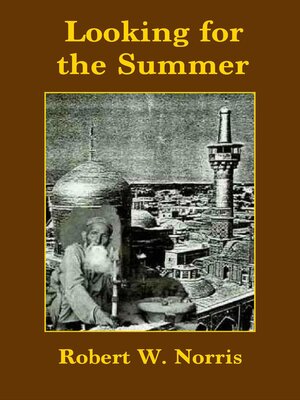 cover image of Looking for the Summer